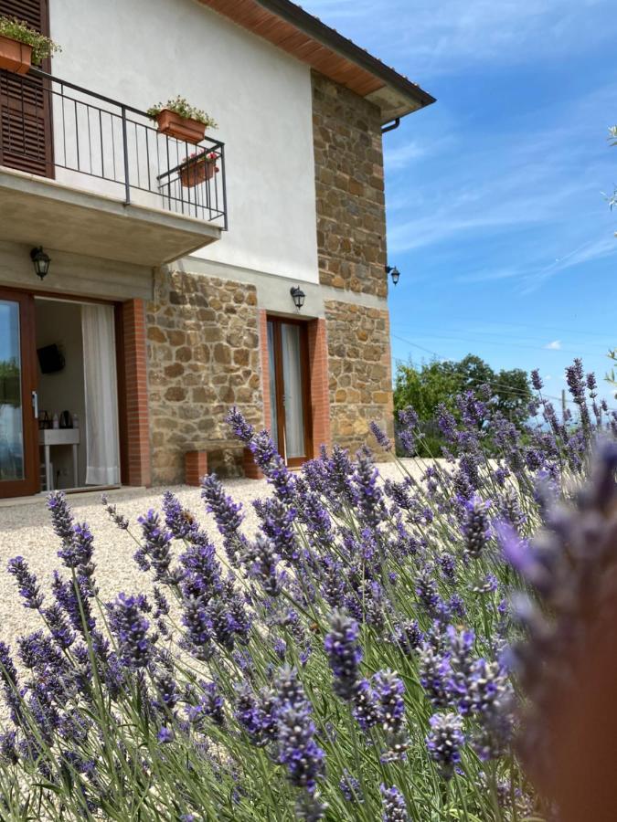 Podere Belsogno Montalcino Exterior foto