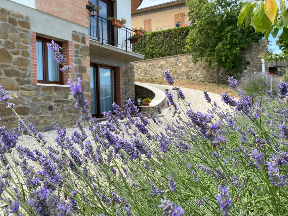 Podere Belsogno Montalcino Exterior foto